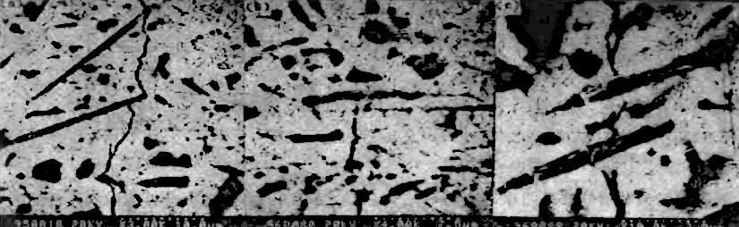 精品无码一区二区的天堂