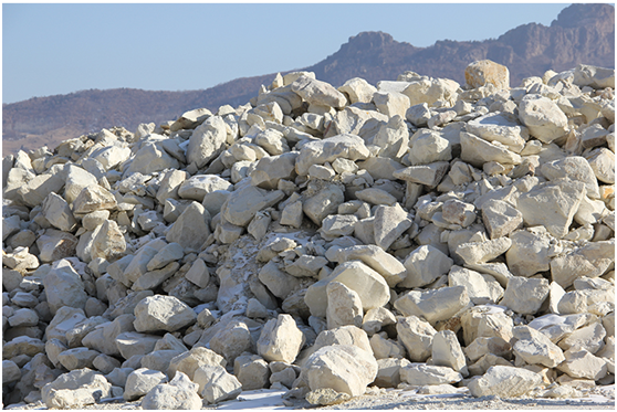 精品无码一区二区的天堂