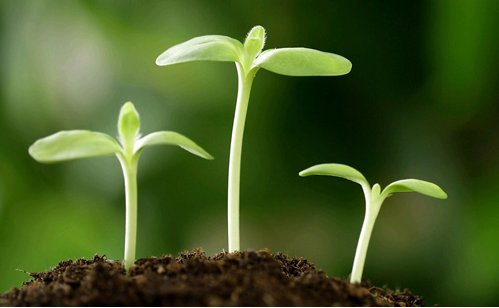 精品无码一区二区的天堂