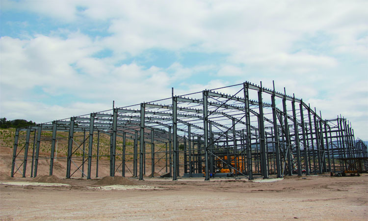 精品无码一区二区的天堂