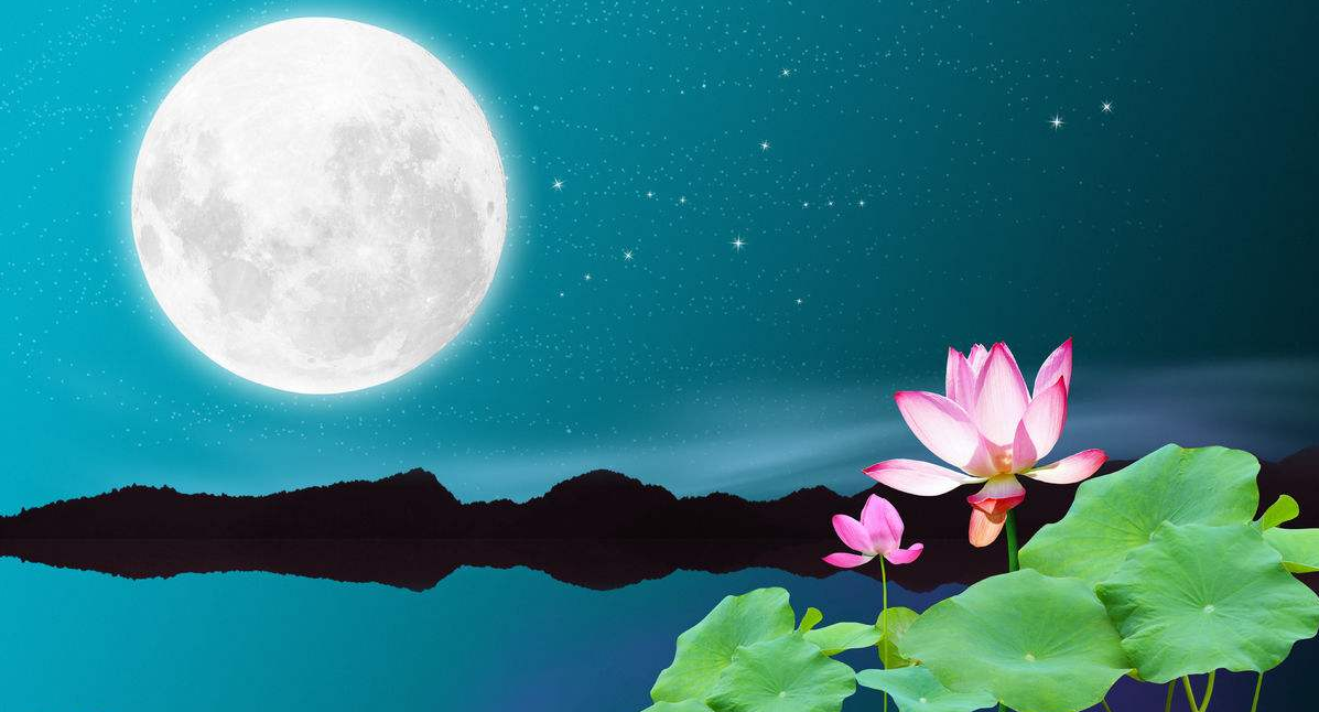 精品无码一区二区的天堂