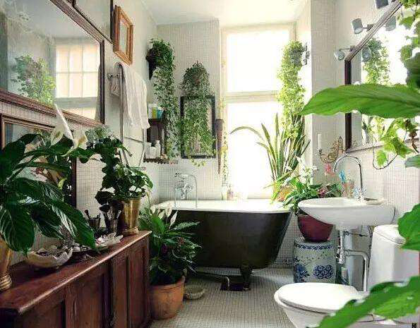 精品无码一区二区的天堂