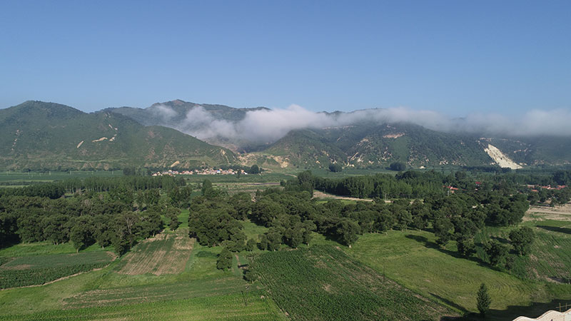 精品无码一区二区的天堂