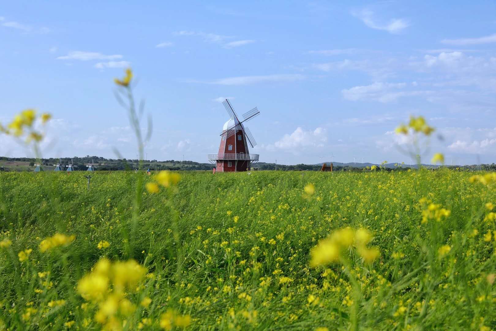 精品无码一区二区的天堂