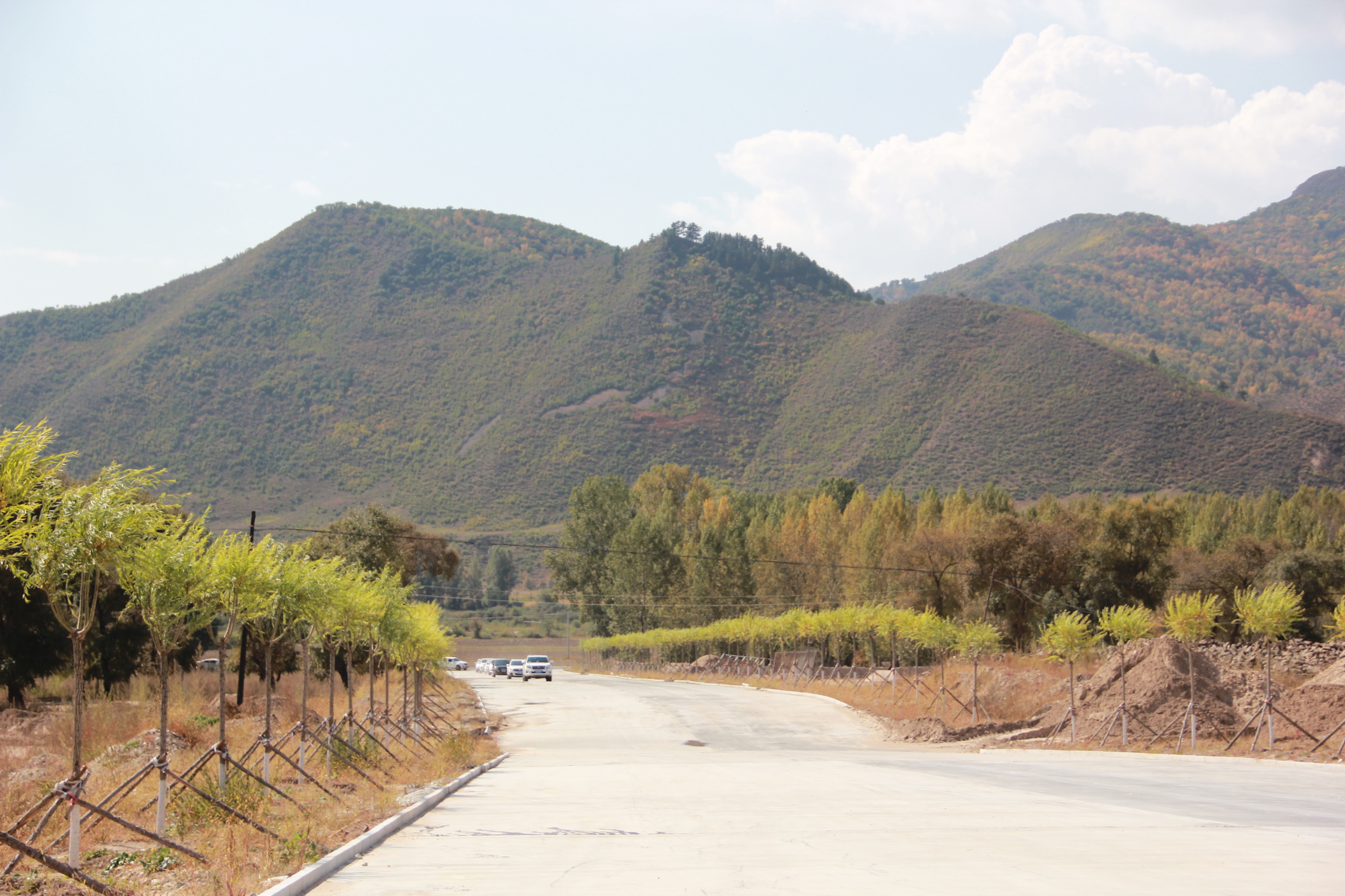 精品无码一区二区的天堂